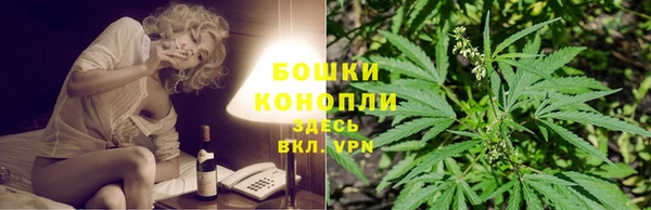 ГАЛЛЮЦИНОГЕННЫЕ ГРИБЫ Остров