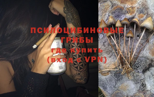 ГАЛЛЮЦИНОГЕННЫЕ ГРИБЫ Остров