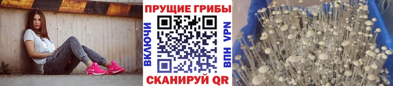 гидра ONION  Славск  Псилоцибиновые грибы мицелий 
